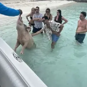 29293061DCD38EF97B4AF4B3474EFDD9 (8)